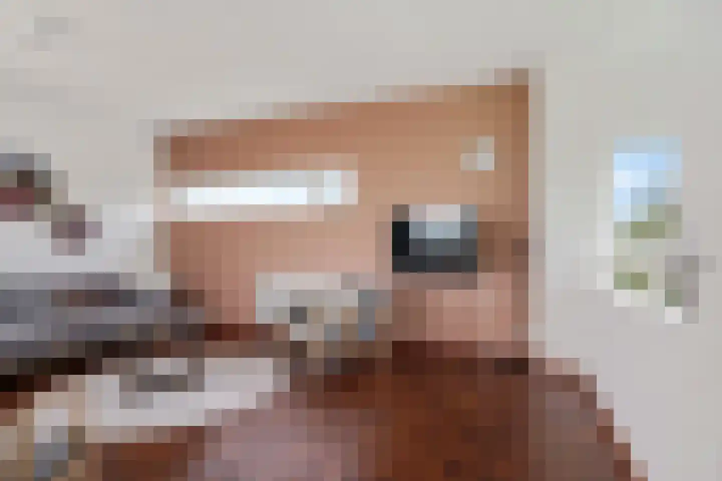 Geuzehoeke 43 643 Eanjum thumbnail 16