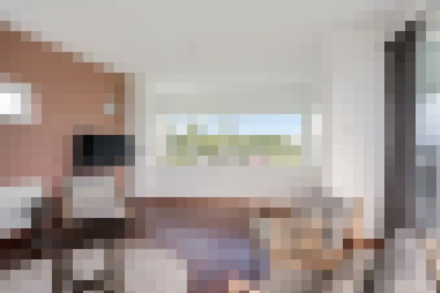 Geuzehoeke 43 643 Eanjum thumbnail 17