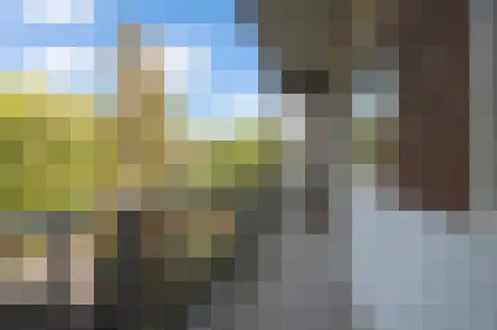 Geuzenkade 14 H Amsterdam thumbnail 16