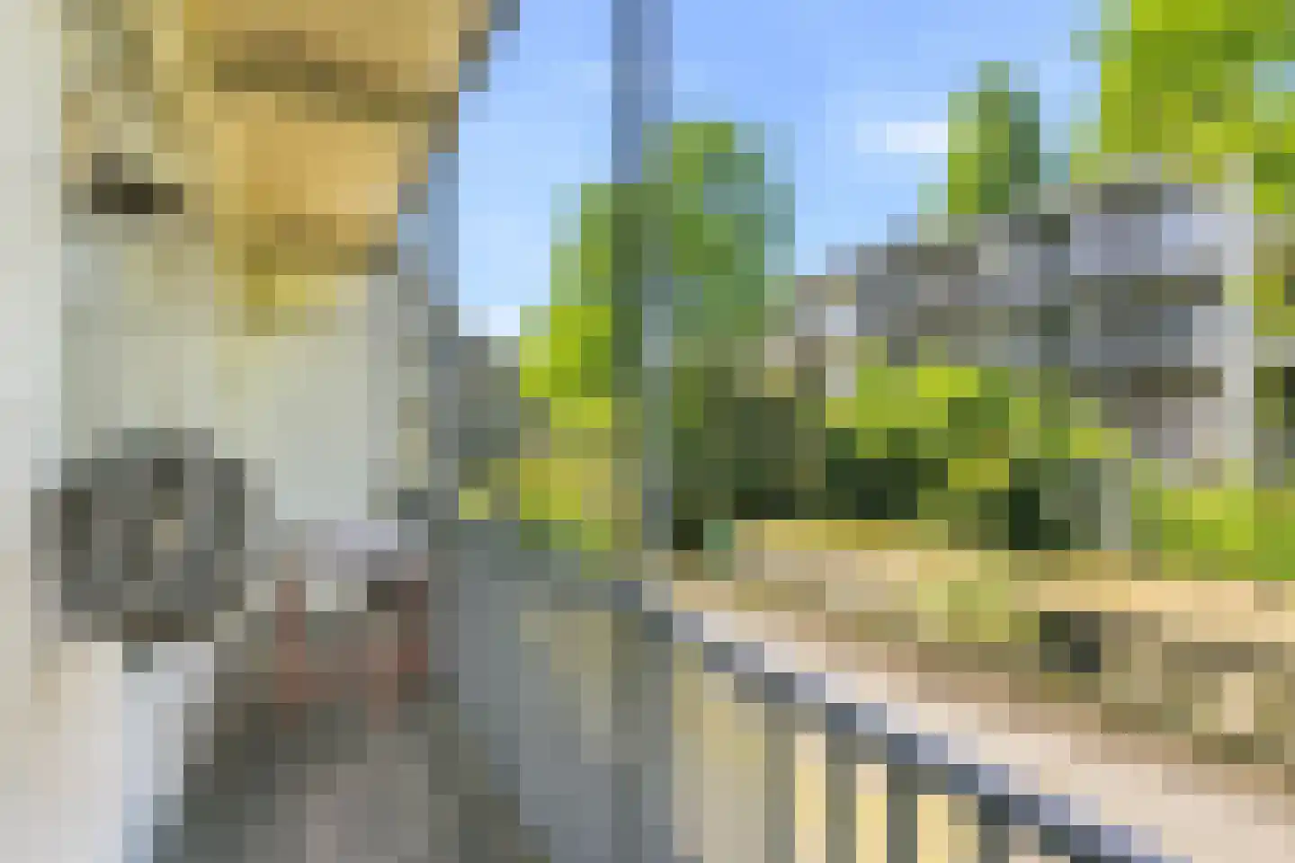 Geuzenkade 32 1 Amsterdam thumbnail 18