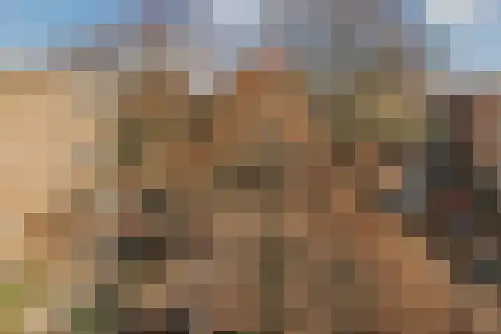 Geuzenkade 54 H Amsterdam thumbnail 5