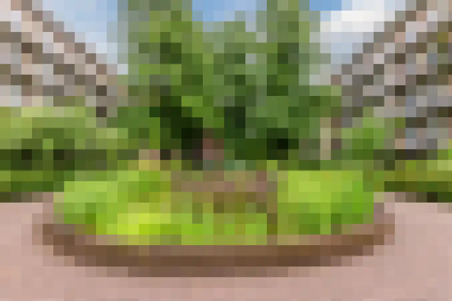 Geuzenkade 62 H Amsterdam thumbnail 21
