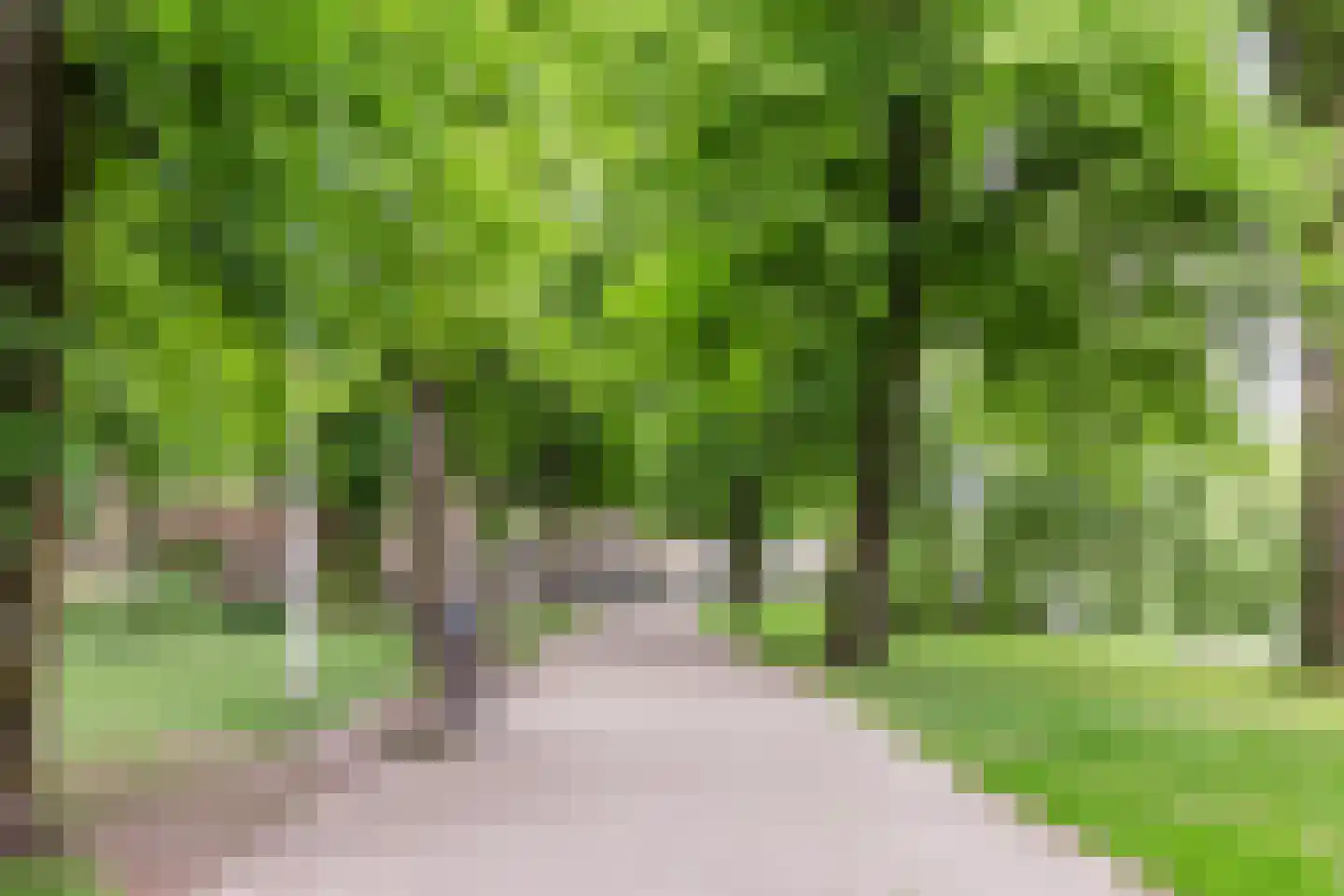 Geuzenkade 62 H Amsterdam thumbnail 30