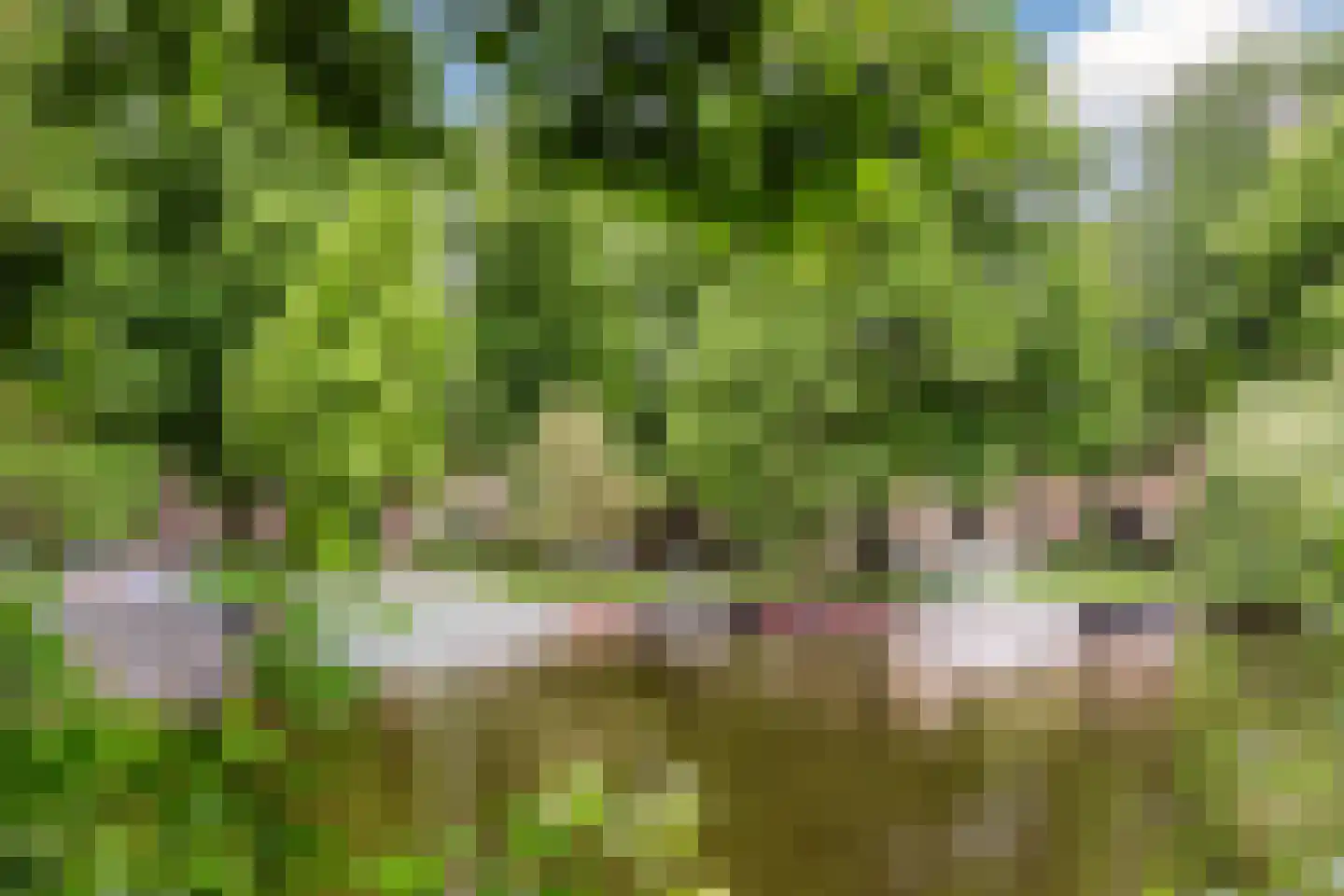 Geuzenkade 62 H Amsterdam thumbnail 35