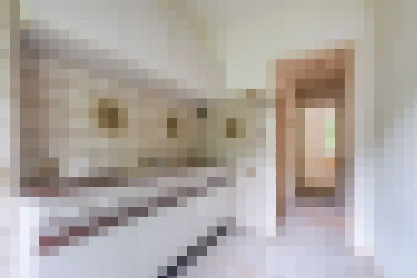 Geuzenkade 62 H Amsterdam thumbnail 8