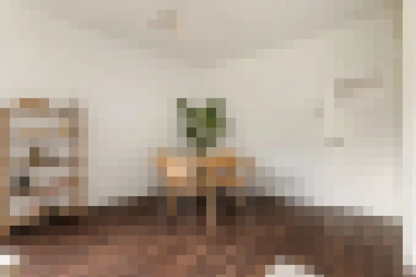 Geuzenkade 66 2 Amsterdam thumbnail 6