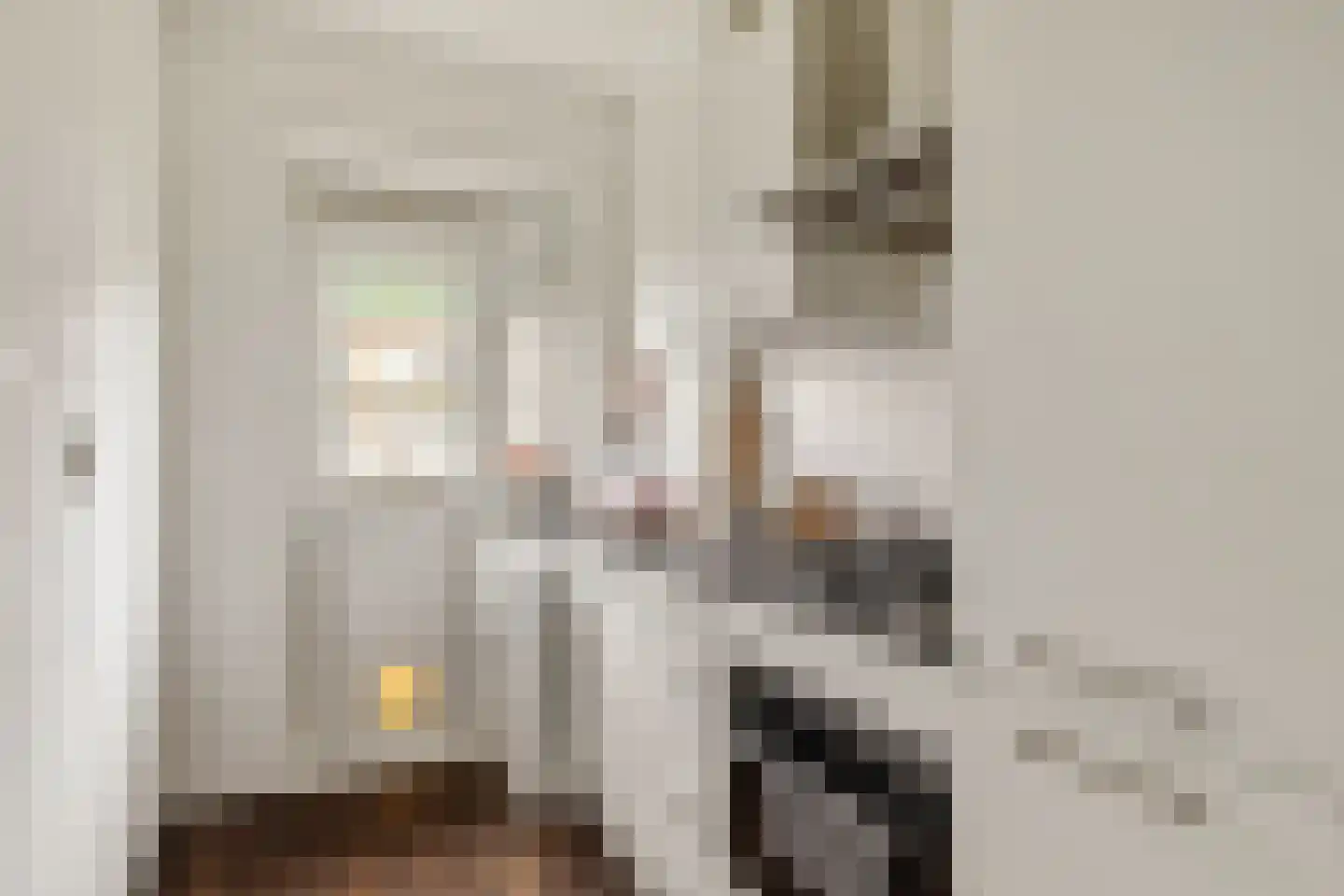 Geuzenkade 66 2 Amsterdam thumbnail 9