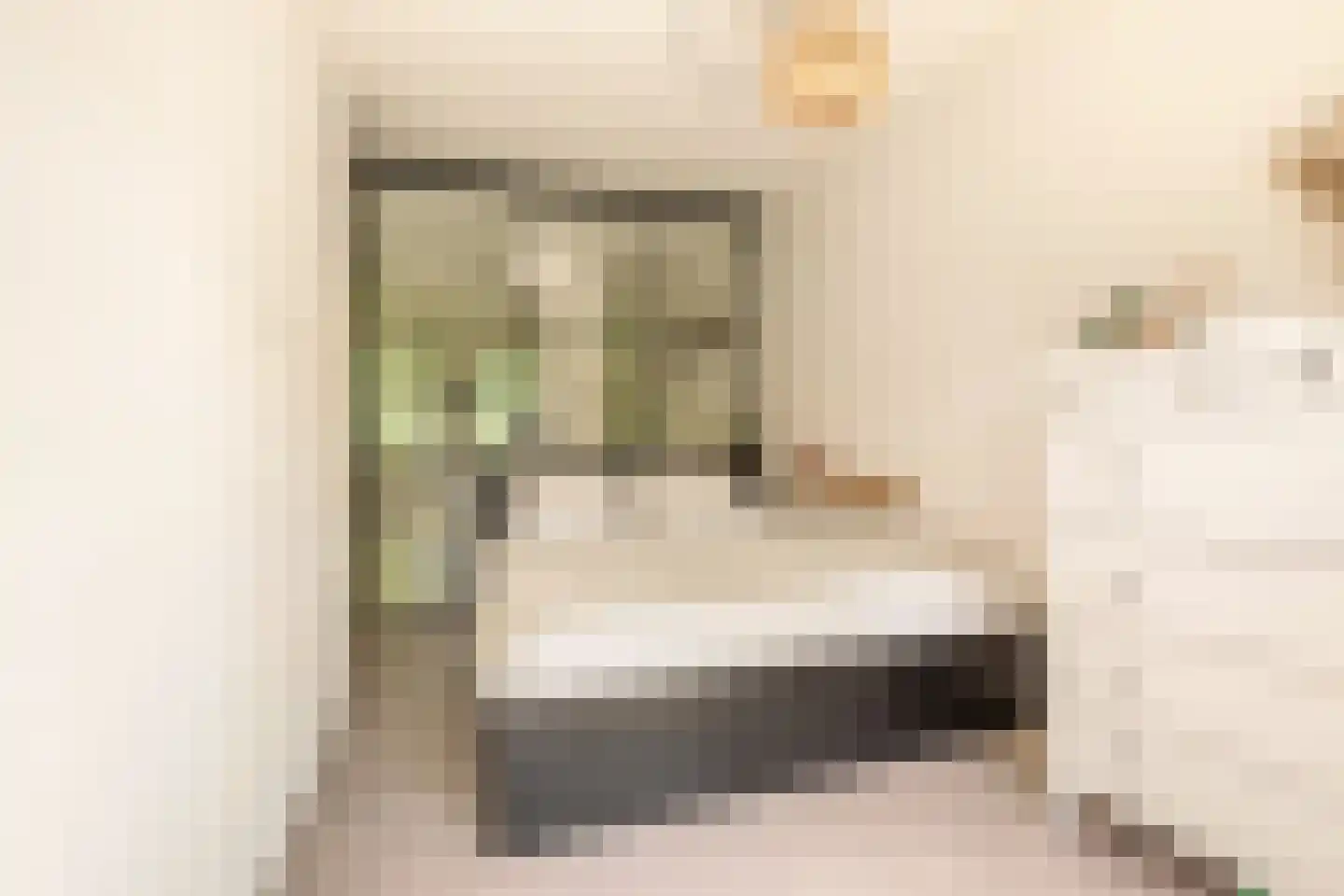 Geuzenkade 69 3 Amsterdam thumbnail 12