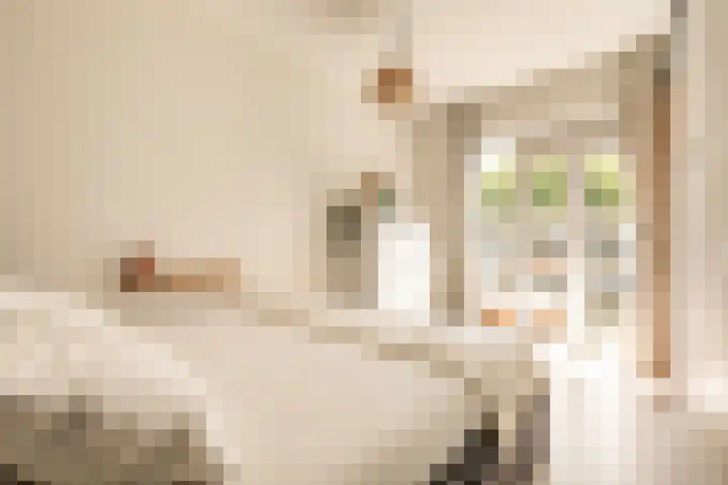 Geuzenkade 69 3 Amsterdam thumbnail 13