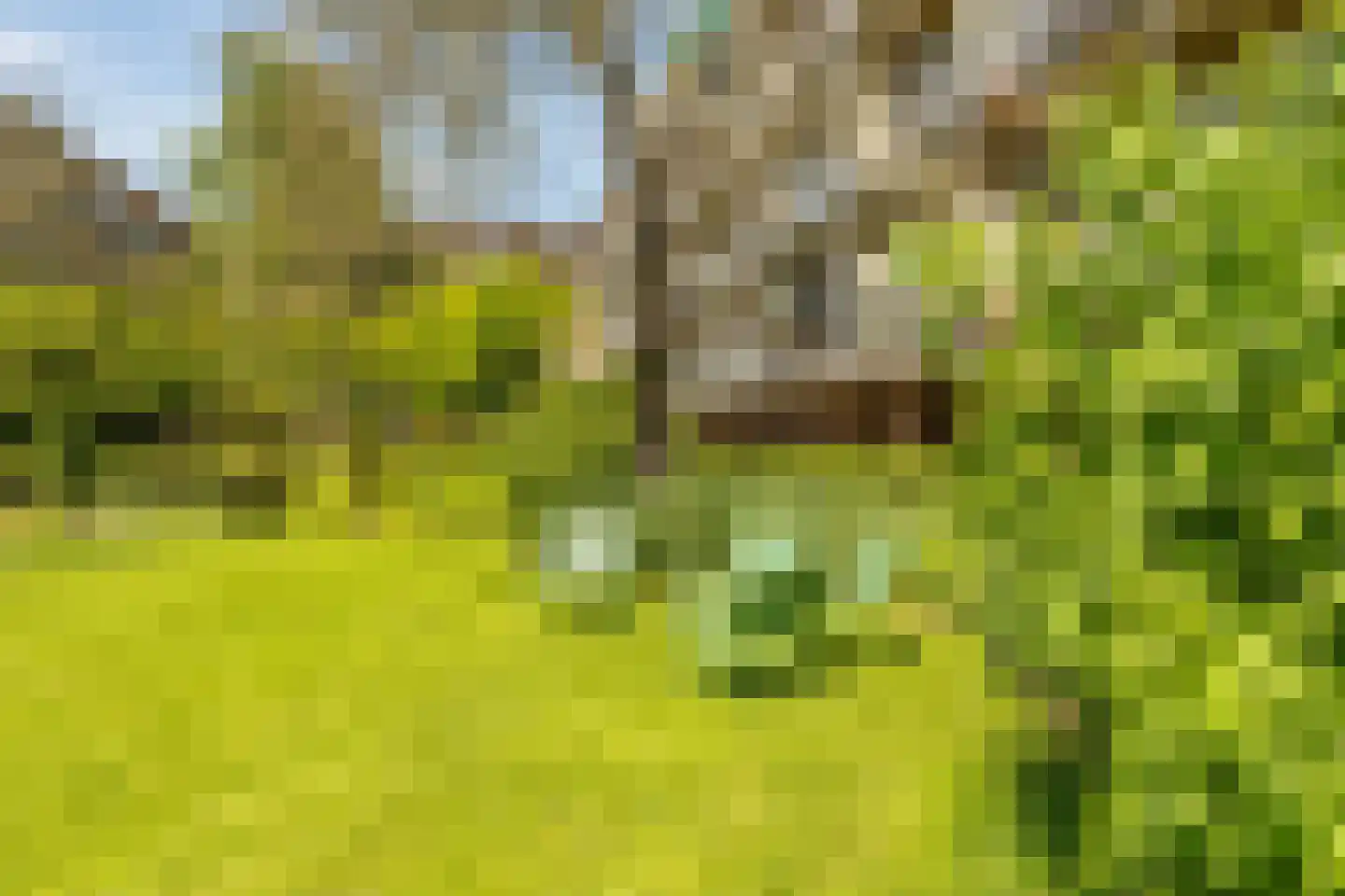Geuzenkade 69 3 Amsterdam thumbnail 23