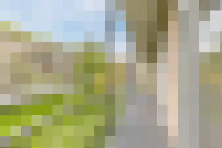Geuzenkade 73 1 Amsterdam thumbnail 14