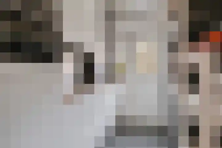 Geuzenkade 73 1 Amsterdam thumbnail 16