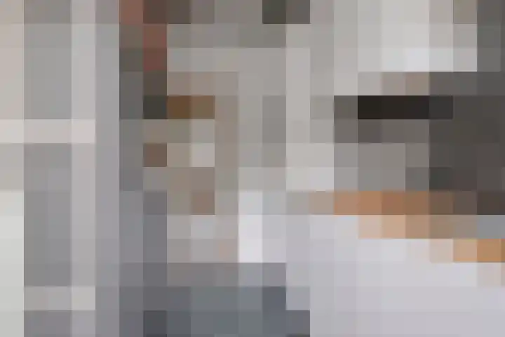 Geuzenkade 73 1 Amsterdam thumbnail 17