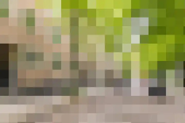 Geuzenkade 73 1 Amsterdam thumbnail 21