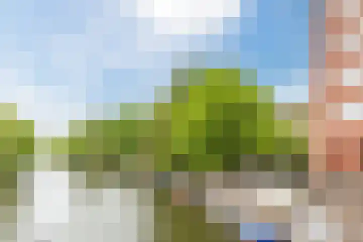 Geuzenkade 73 1 Amsterdam thumbnail 23