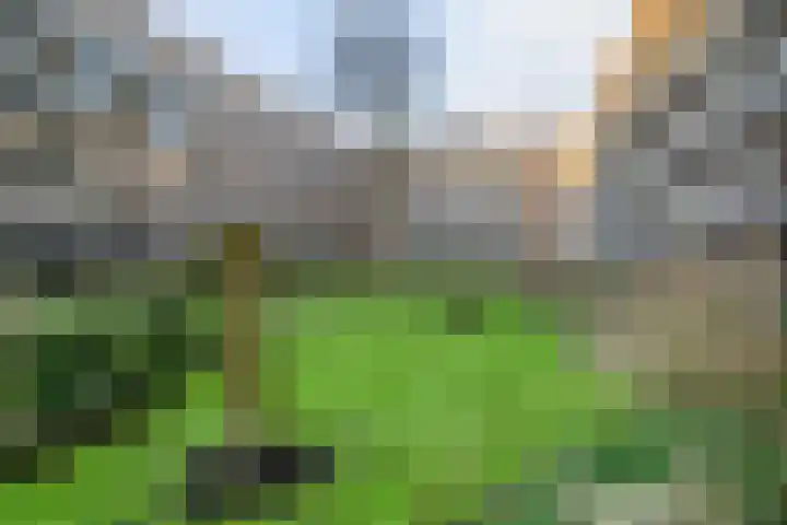 Geuzenkade 73 1 Amsterdam thumbnail 27