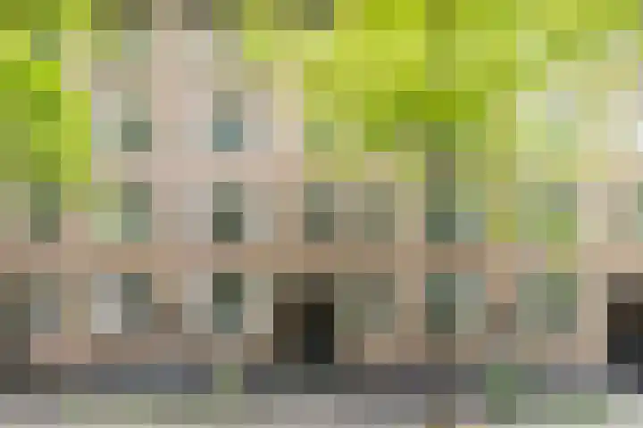 Geuzenkade 73 1 Amsterdam thumbnail 5