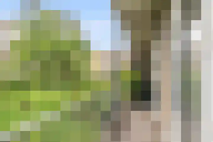 Geuzenkade 74 2 Amsterdam thumbnail 15