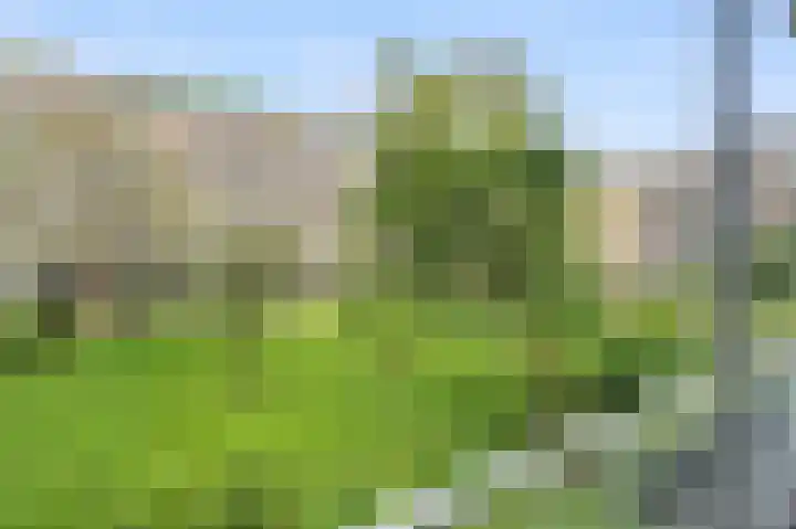 Geuzenkade 74 2 Amsterdam thumbnail 16