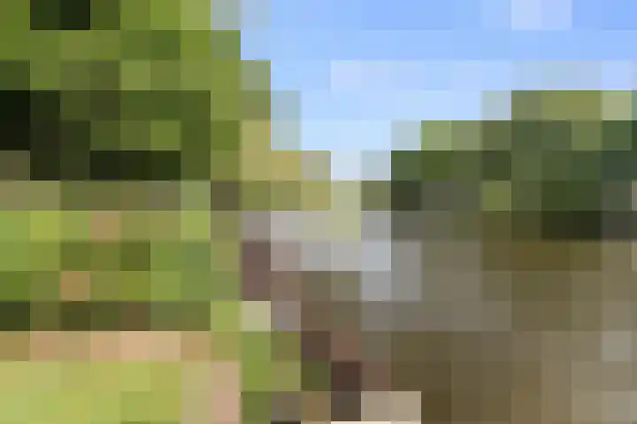 Geuzenkade 74 2 Amsterdam thumbnail 19