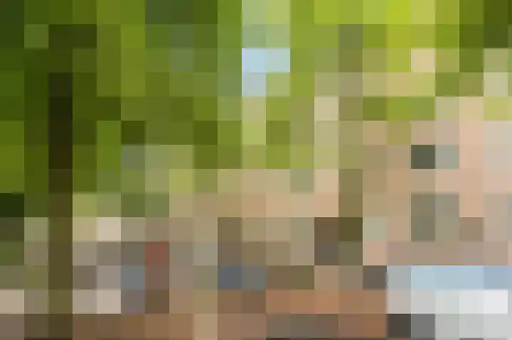 Geuzenkade 74 2 Amsterdam thumbnail 7