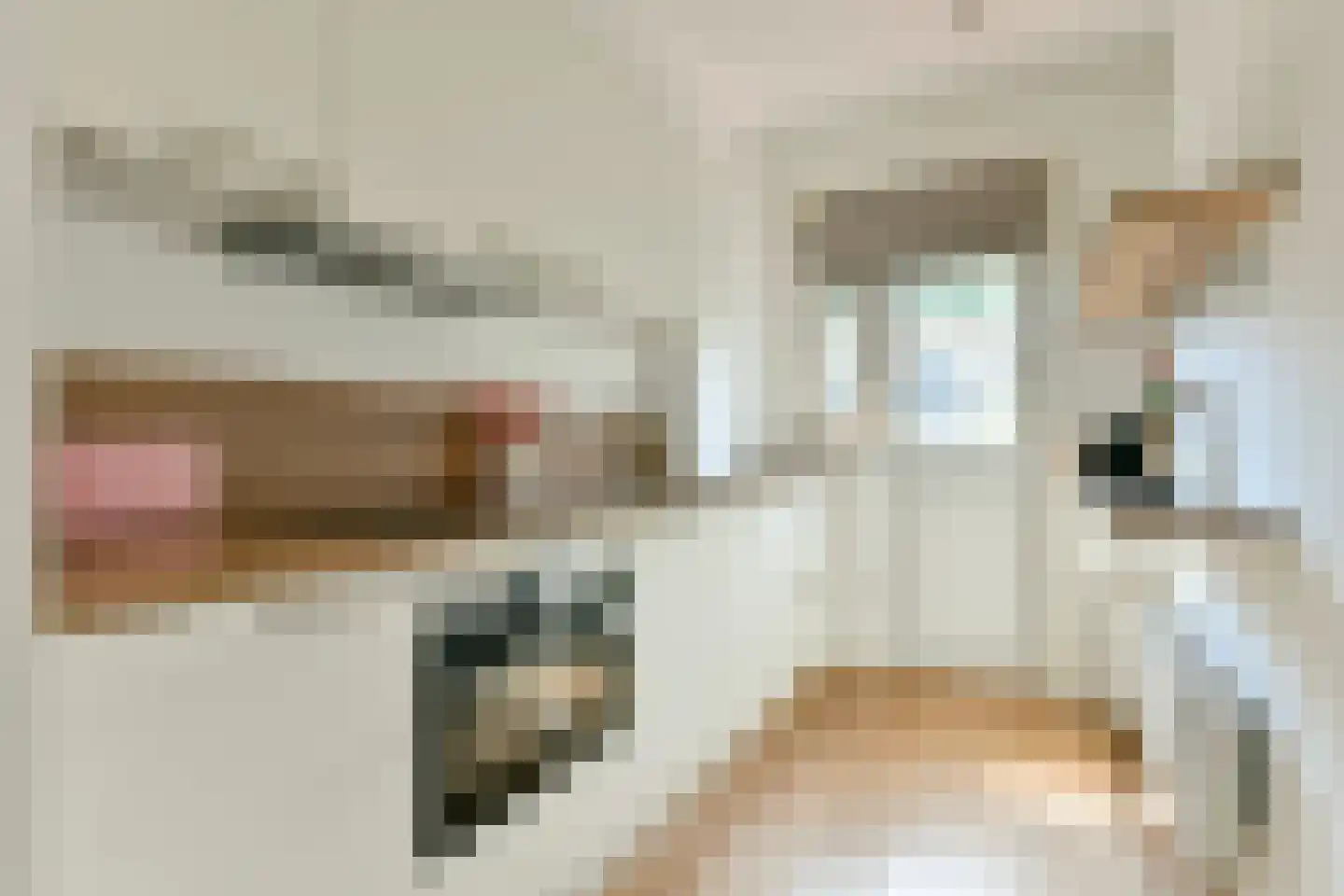 Geuzenkade 75 2 Amsterdam thumbnail 12