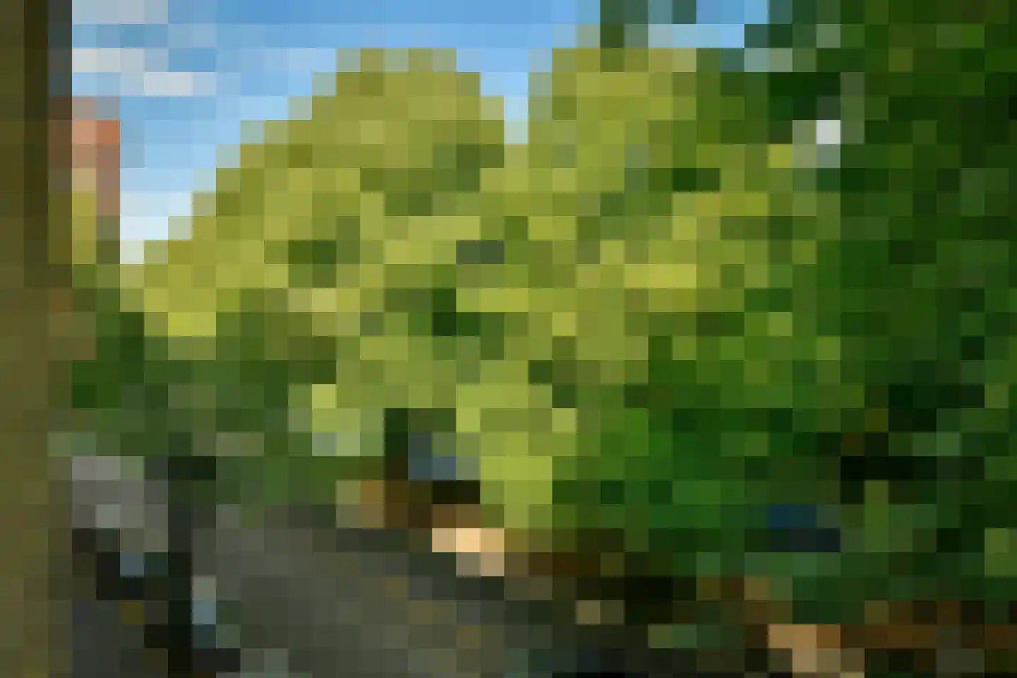 Geuzenkade 75 2 Amsterdam thumbnail 5