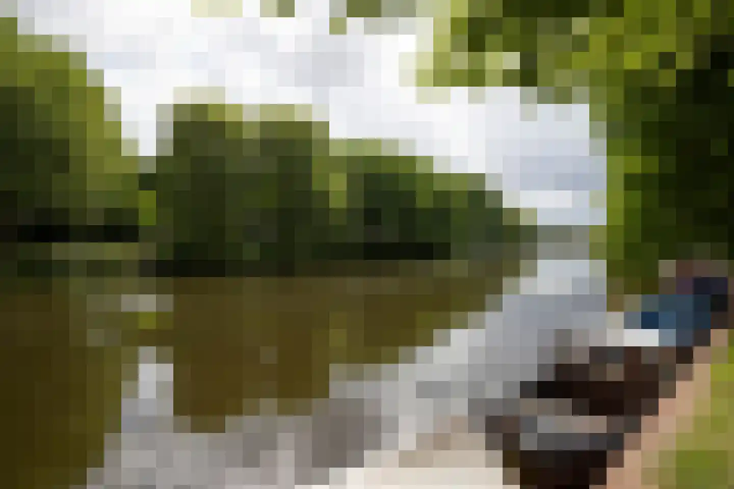 Geuzenkade 79 2 Amsterdam thumbnail 11