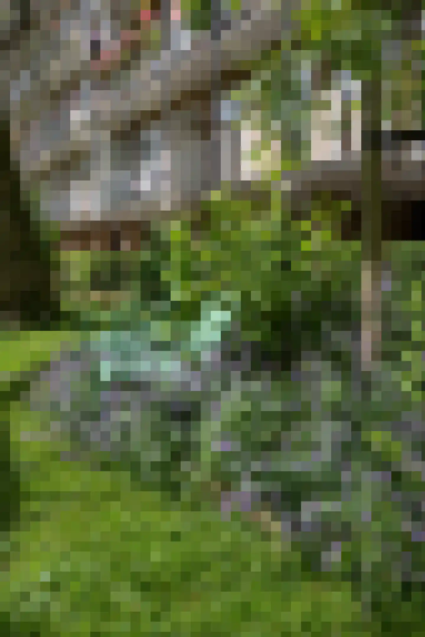 Geuzenkade 79 2 Amsterdam thumbnail 29