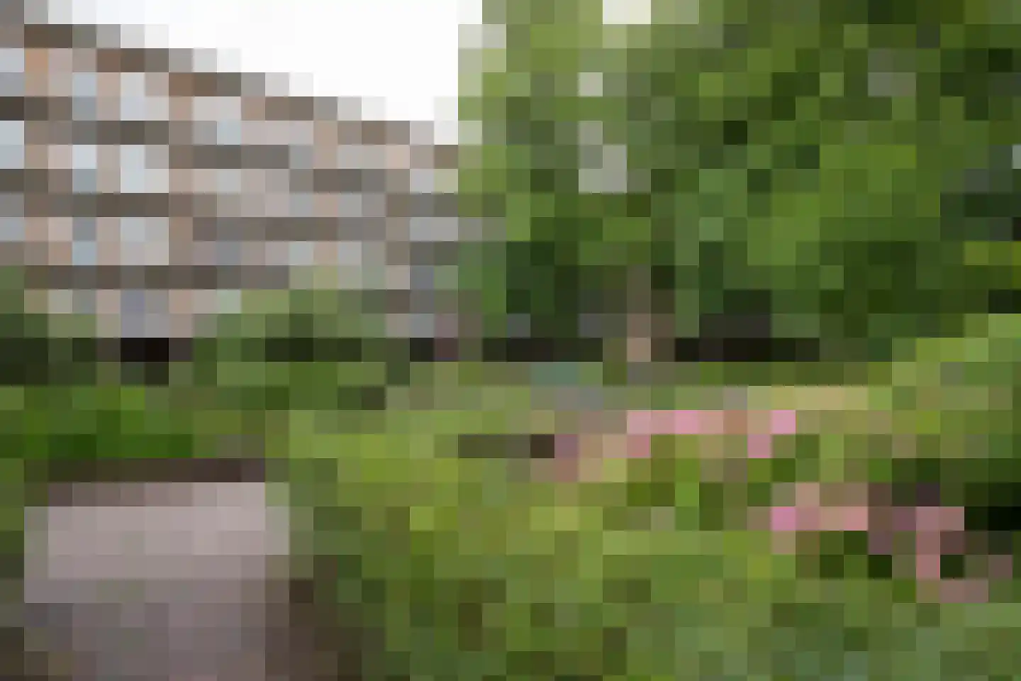 Geuzenkade 79 2 Amsterdam thumbnail 31