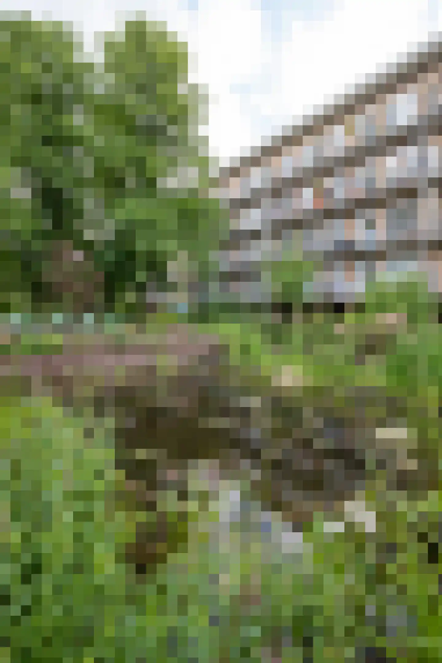 Geuzenkade 79 2 Amsterdam thumbnail 32