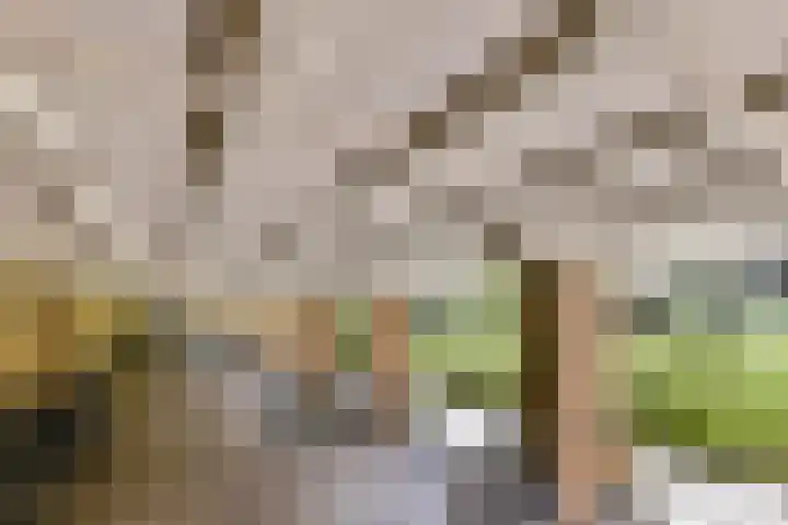 Geuzenkade 81 H Amsterdam thumbnail 16