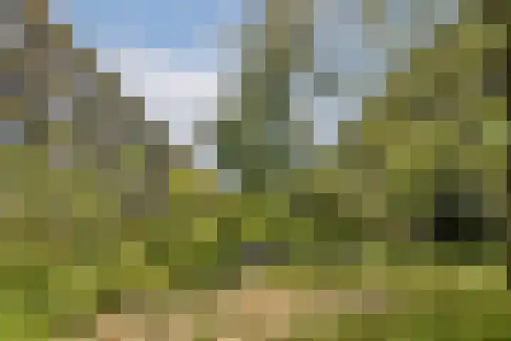 Geuzenkade 81 H Amsterdam thumbnail 18