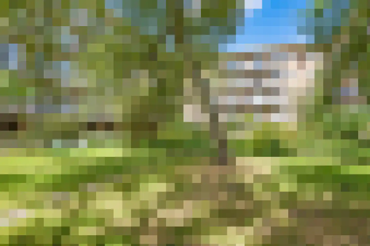Geuzenkade 83 2 Amsterdam thumbnail 22