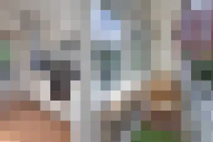 Geuzenkade 87 2 Amsterdam thumbnail 16
