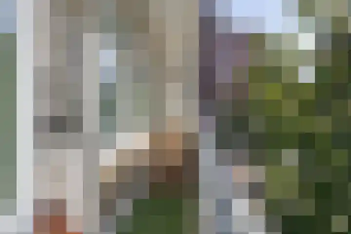 Geuzenkade 87 2 Amsterdam thumbnail 17