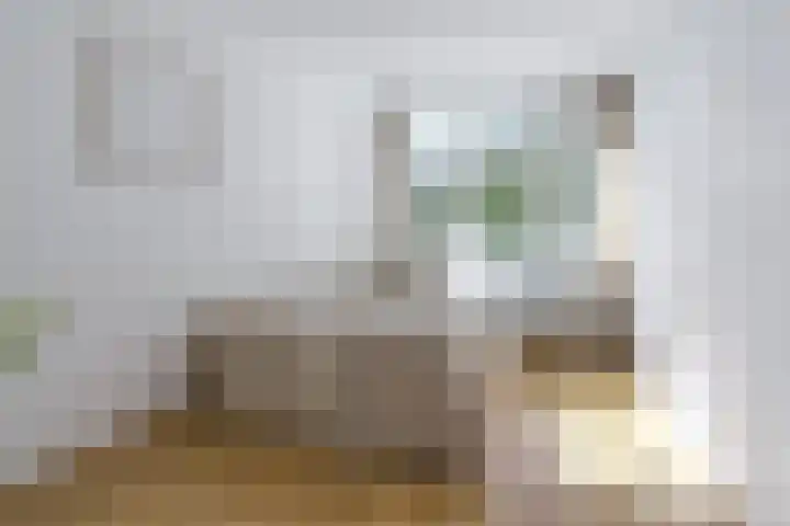 Geuzenkade 87 2 Amsterdam thumbnail 18