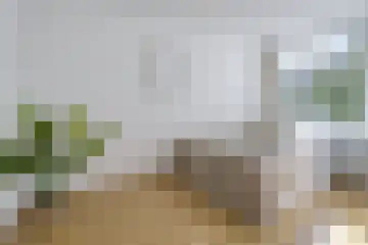 Geuzenkade 87 2 Amsterdam thumbnail 19