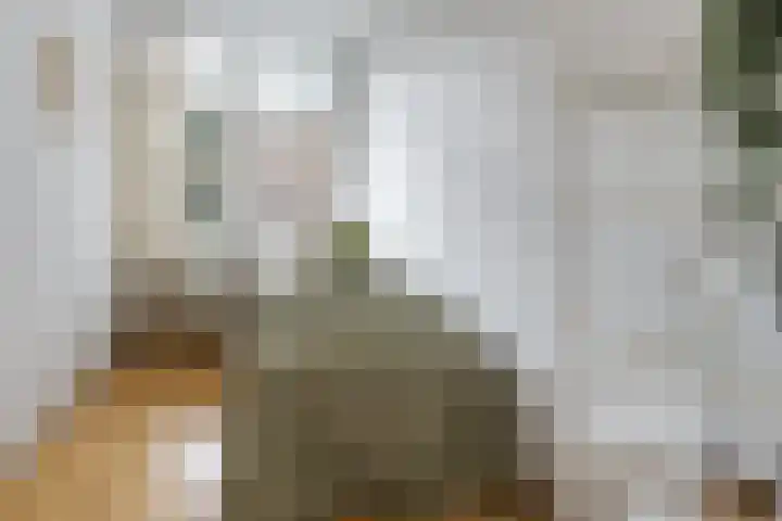 Geuzenkade 87 2 Amsterdam thumbnail 22