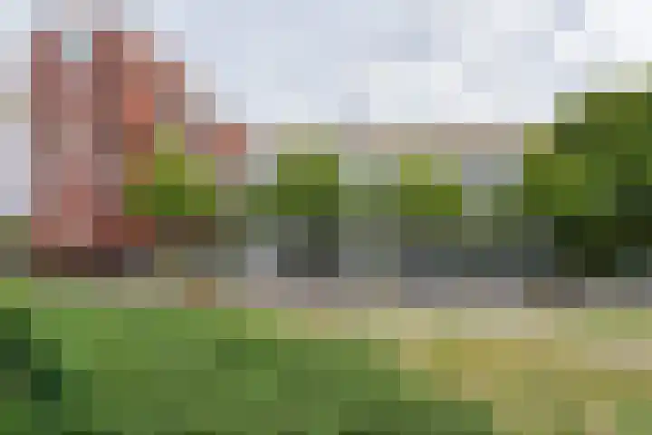 Geuzenkade 87 2 Amsterdam thumbnail 31