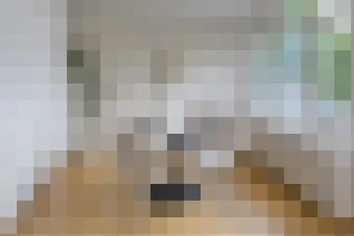 Geuzenkade 87 2 Amsterdam thumbnail 9