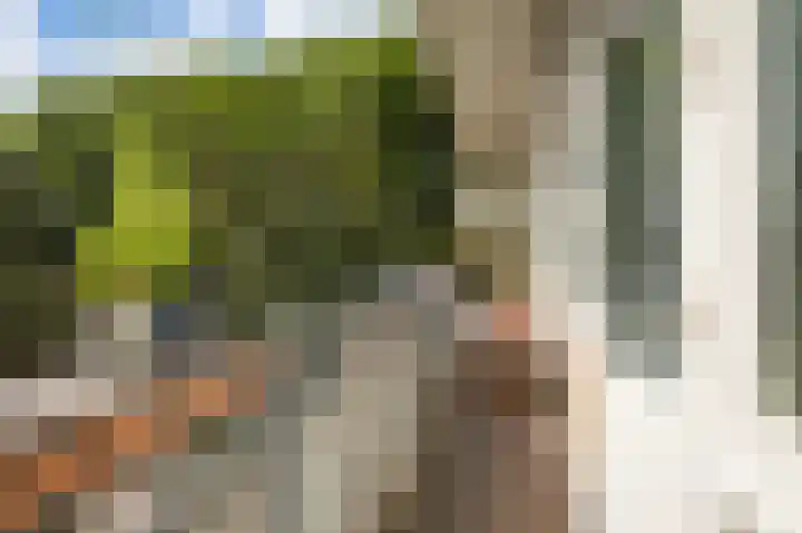 Geuzenkade 88 3 Amsterdam thumbnail 11