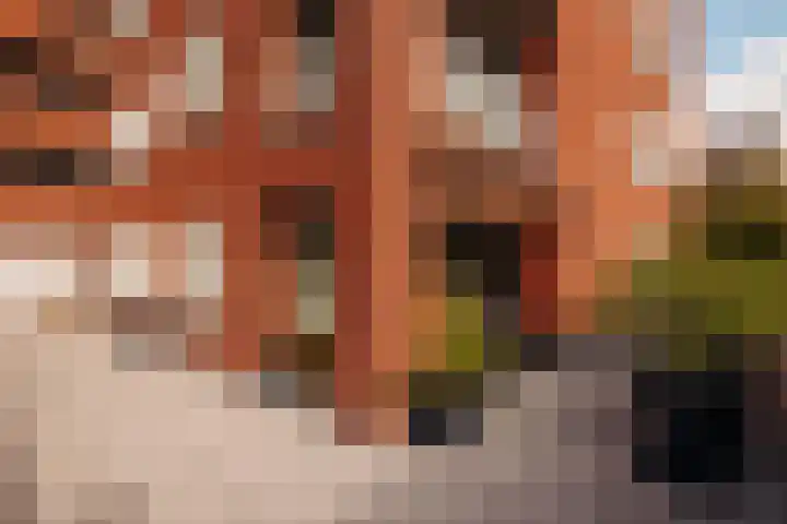 Geuzenkade 96 A Amsterdam thumbnail 11
