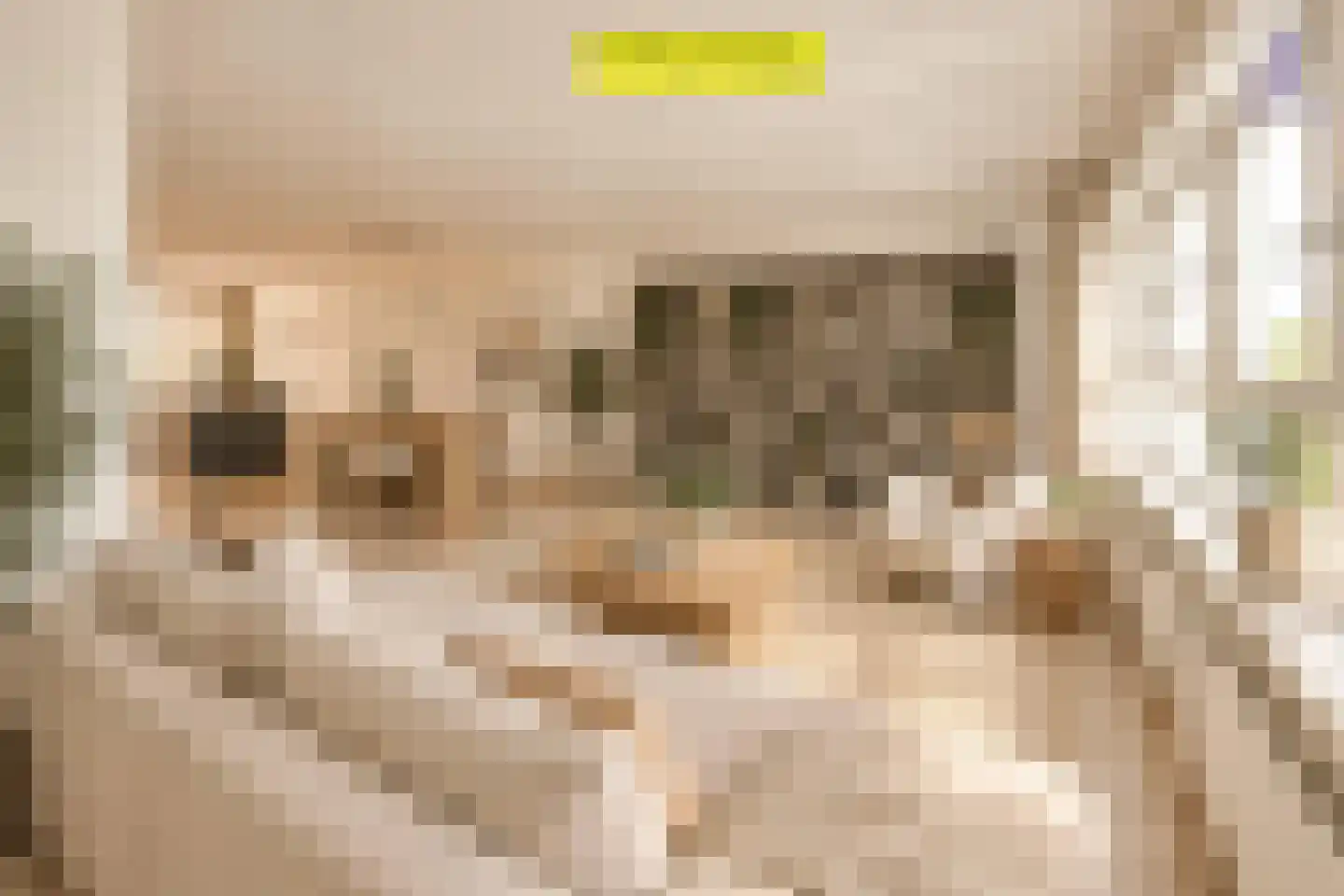 Geuzenkade 98 D Amsterdam thumbnail 6