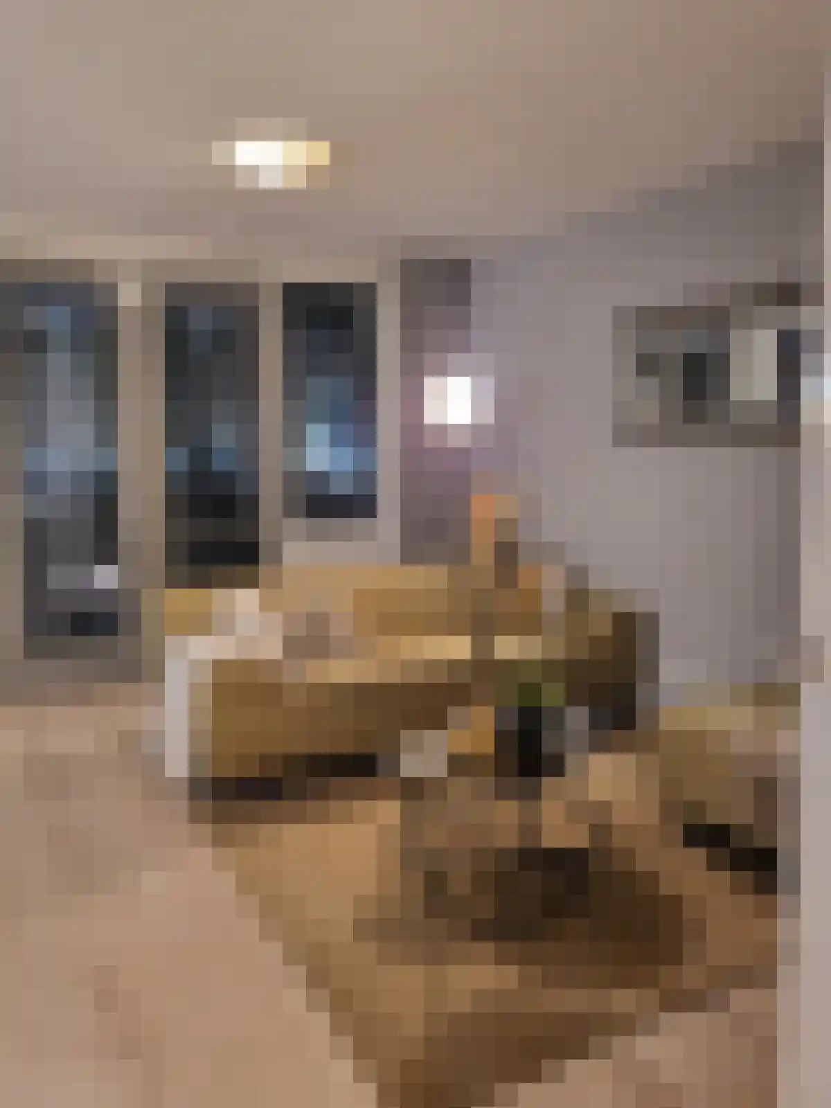 Geuzenpad 10 Vianen thumbnail 5