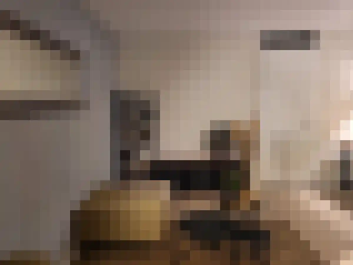 Geuzenpad 10 Vianen thumbnail 6