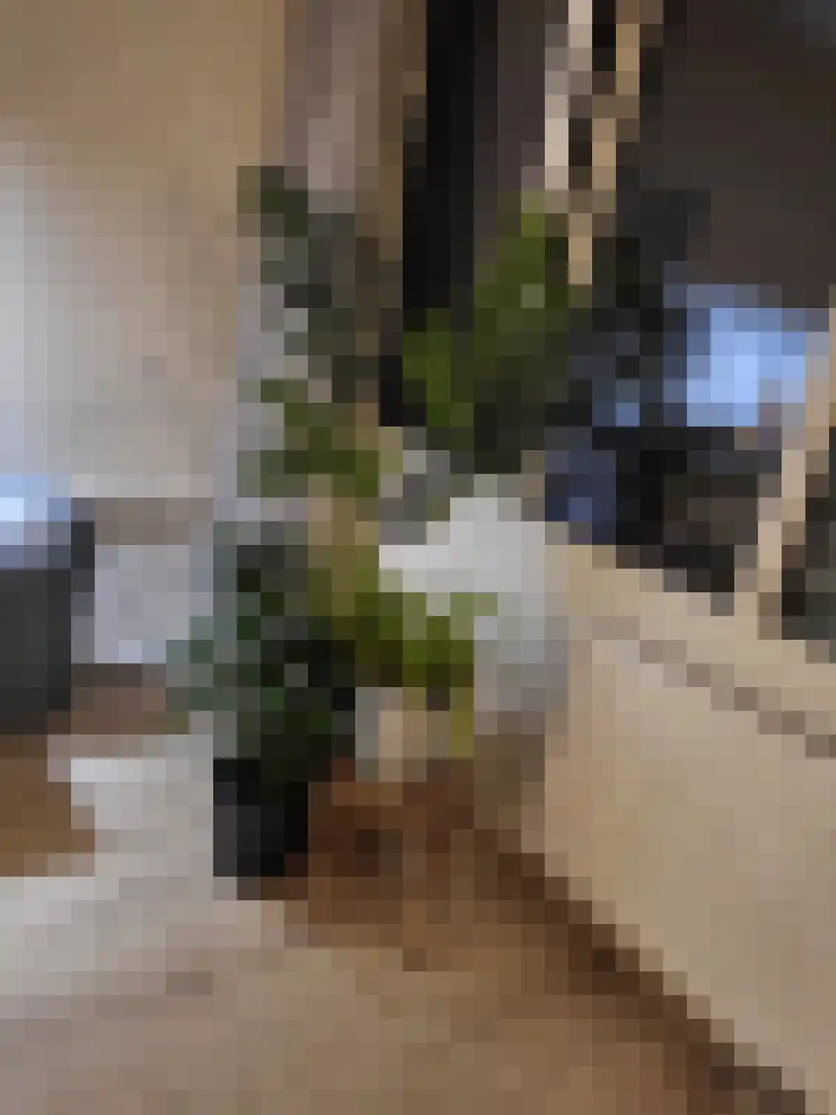 Geuzenpad 10 Vianen thumbnail 7