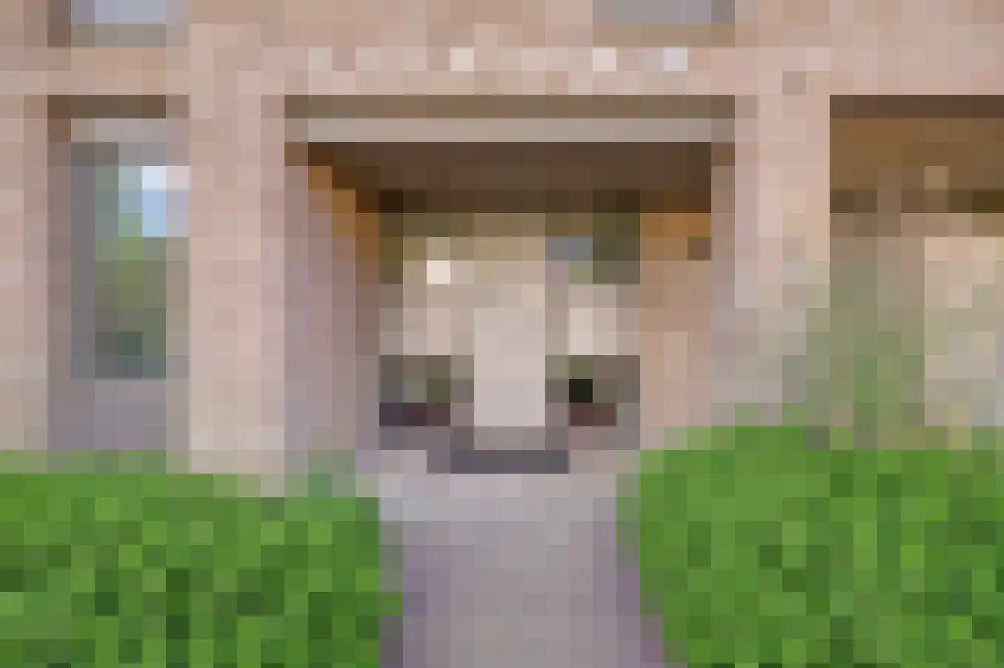 Geuzenpad 11 Vianen thumbnail 11