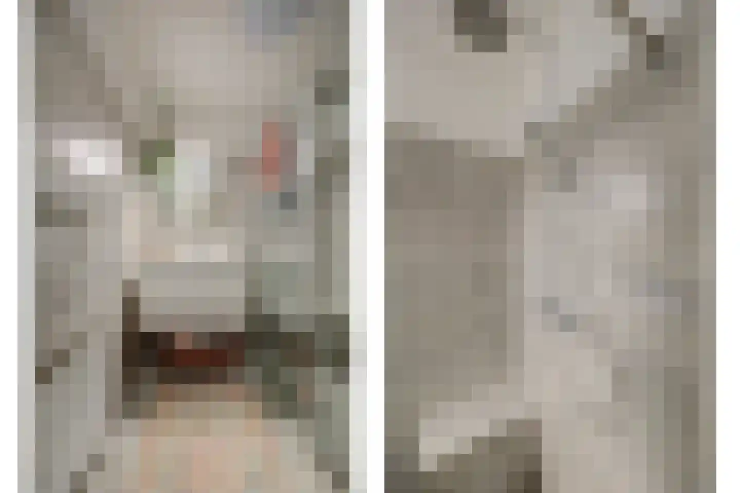 Geuzenpad 11 Vianen thumbnail 28