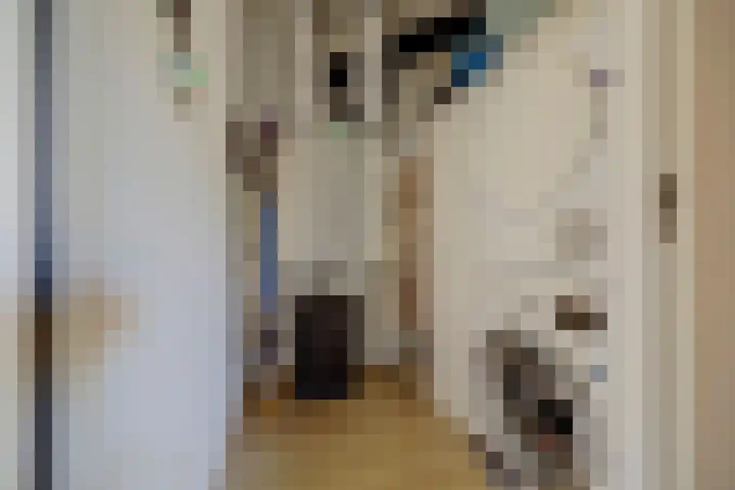 Geuzenpad 11 Vianen thumbnail 30